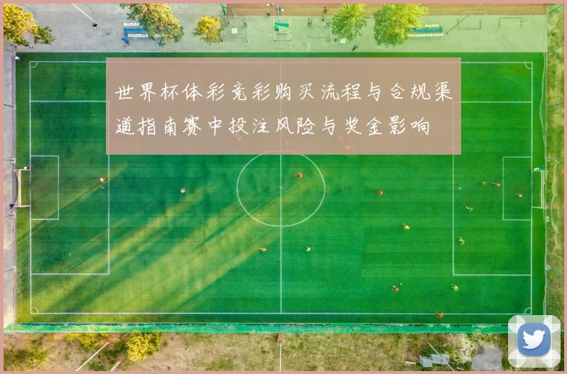 世界杯体彩竞彩购买流程与合规渠道指南赛中投注风险与奖金影响