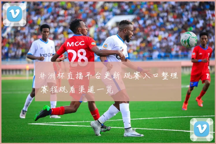 非洲杯直播平台更新 观赛入口整理 赛程观看渠道一览
