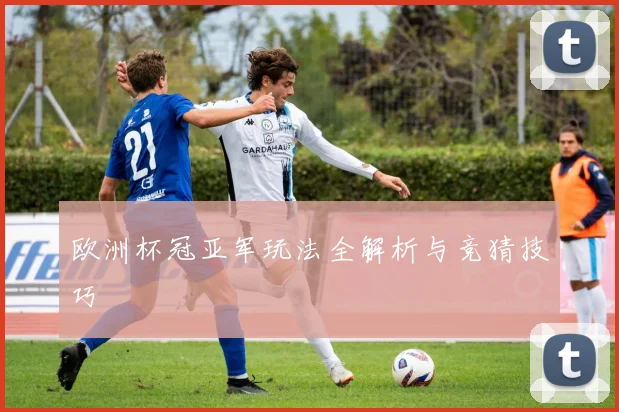 欧洲杯冠亚军玩法全解析与竞猜技巧