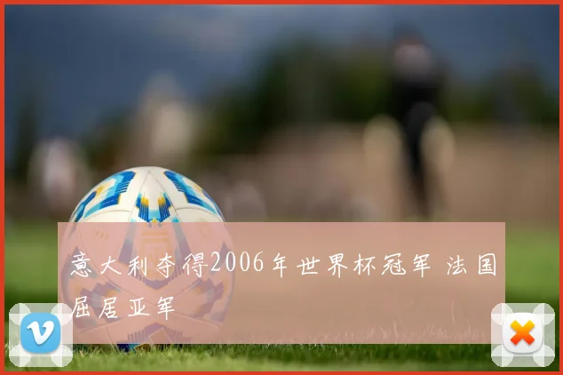 意大利夺得2006年世界杯冠军 法国屈居亚军