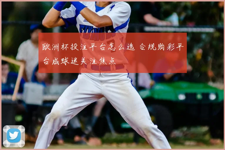 欧洲杯投注平台怎么选 合规购彩平台成球迷关注焦点