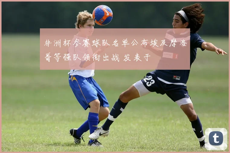 非洲杯参赛球队名单公布埃及摩洛哥等强队领衔出战 发表于