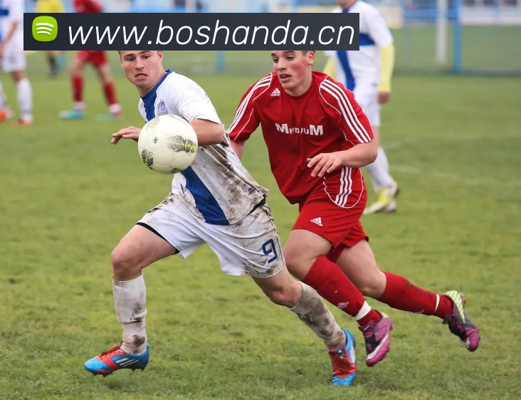 多媒体互动体验